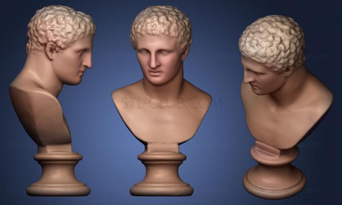 3D model Busto masculino (STL)